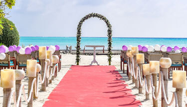 services 02 free img