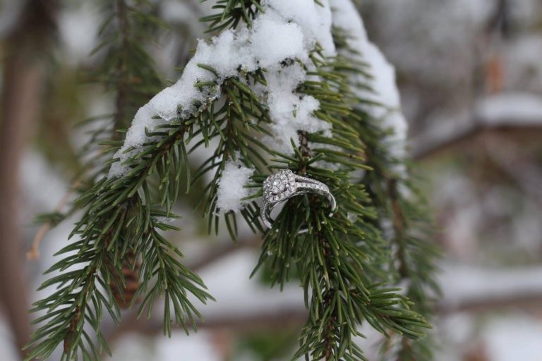 pure bridal, bridal bouqtique, edmonton, winter wonderland, winter wedding, engagment ring, engagement photos, photography, wedding photographer, engagement photos, pure partners