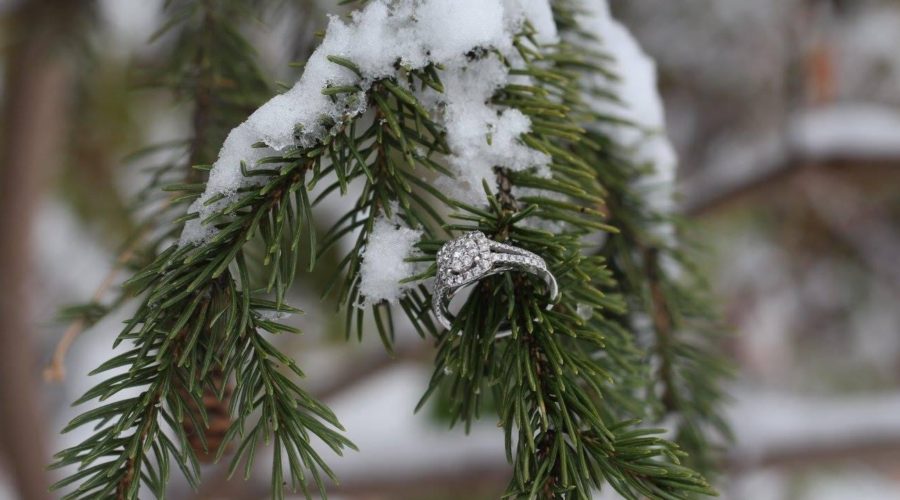 pure bridal, bridal bouqtique, edmonton, winter wonderland, winter wedding, engagment ring, engagement photos, photography, wedding photographer, engagement photos, pure partners